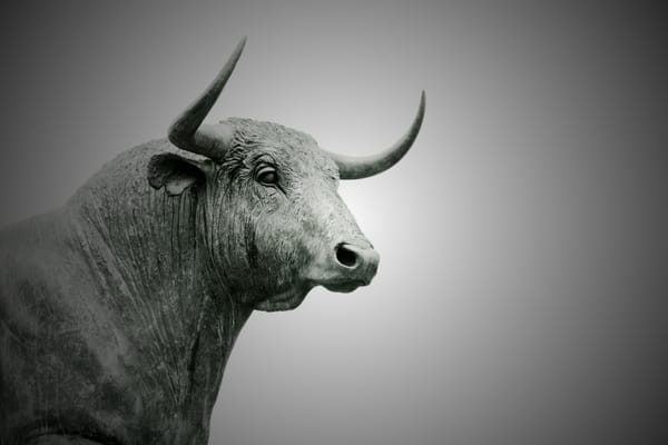 Understanding the Dynamics of a Bull Market